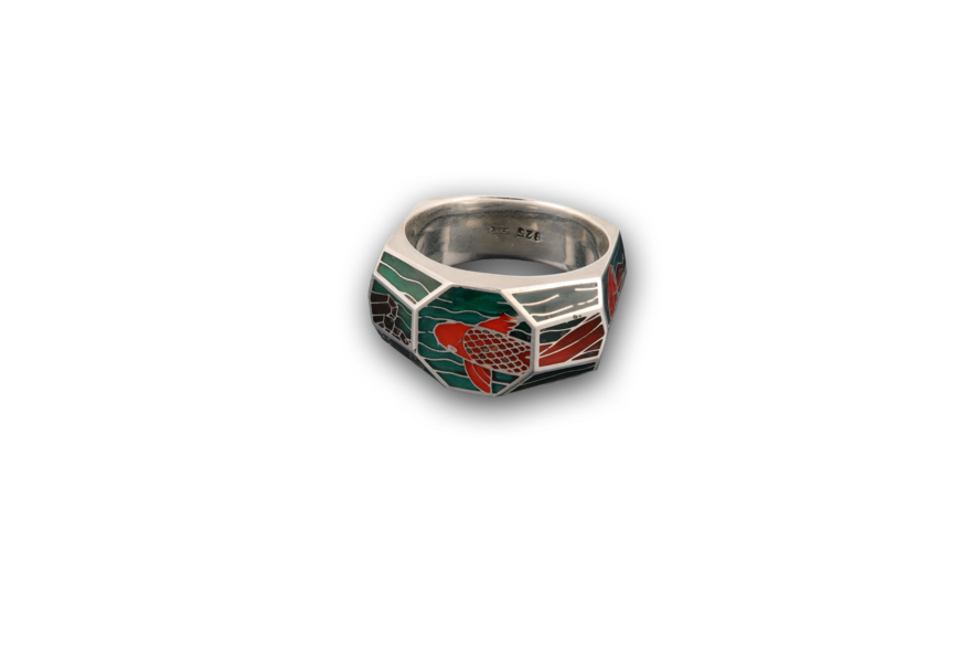Ring "water worlds"