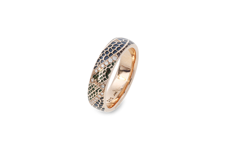 Ring Dragonfly wings